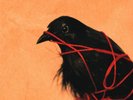 Transatlanticism [LP] by Death Cab for Cutie (Vinyl, Oct-2013, 2 Discs, Barsuk)