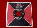 JERRY WALLACE PRIMROSE LANE   PRESSING  BY YOUR SIDE  RARE   COUNTRY 45