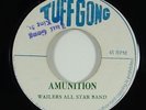 Wailers All Star Band 