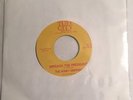 The Honey Drippers ?- Impeach The President 45 Classic Drum Break Dilla Reissue