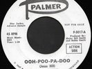 Rare 60's USA Psych Garage 45 - THE CANADIAN ROGUES (Palmer) NM