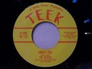 45rpm  THE PETITES Lonely Girl / I Believe 1964 TEEK Rare Detroit Northern Soul
