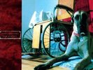 DON CABALLERO - FOR RESPECT (REISSUE) NEW VINYL