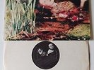THEORIUS CAMPUS ( venditti - de gregori ) LP GF ORIGINAL    italian psych - prog