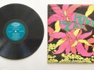 THe Golden Dawn. POWER PLANT. Collectible Vinyl Record. IA-LP#4   Awesome Chance