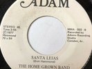 RARE Unknown Hard Rock Garage 45/ Home Grown Band 