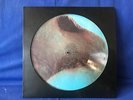 PINK FLOYD MEDDLE PICTURE DISC REISSUE LP LIMITED MINT