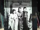 Sisters of Mercy Cryptic Flowers Bootleg Vinyl Multicoulored Vinyl rar 