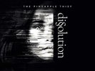 The Pineapple Thief - Dissolution (NEW 12