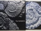 Picture-LP: The Sundays: Reading, Writing And Arithmetic (Rough Trade)