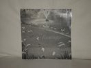 The Flamingos    s/t               US PRESSING  -  STILL SEALED