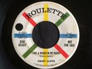 Jimmy Lloyd, Roulette 4062, I Got A Rocket In My Pocket & You're Gone Baby, Nice