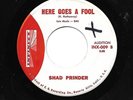 SHAD PRINDER/GROUP 45RPM '59 INFINITY HERE GOES A FOOL RARE DOO WOP VOCAL M-