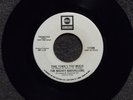 northern soul MIGHTY MARVELLOWS This Town's Too Much ABC 11189 DJ M- listen