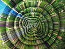 APHEX TWIN - Collapse EP - Vinyl (12