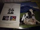 PINK FLOYD  IN JAPAN  #41/50 SPLATTER VINYL PICTURE DISC  RARE  TMOQ TAKRL