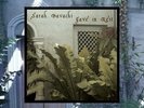 Sarah Davachi - Gave In Rest [New Vinyl LP]