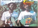 Cedric Myton & The Congos ?– Image Of Africa 33t