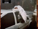 Blood Orange - Negro Swan LP [Vinyl New] Indie Ex. Limited Orange 2LP + Download