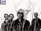 TOM PETTY &  HEARTBREAKERS - ECHO NEW VINYL
