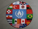STIFF LITTLE FINGERS Flags & Emblems ESSENTIAL LP ‘Limited Edition Numbered Pict