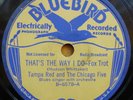 TAMPA RED 78 BLUEBIRD B-6578 THAT'S THE WAY I DO
