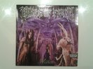 Rare - vinyle Cradle of Filth - Midian - 2 LP