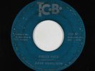 Funk Jazz 45 - Dave Hamilton - Pisces Pace - TCB - mp3 - rare