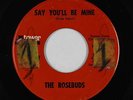 Northern Soul 45 - Rosebuds - Say You'll Be Mine - Tower - mp3