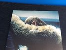 20% Disc. Available: Beyonce - Lemonade Yellow Vinyl ?Record LP