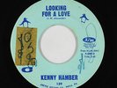 Northern Soul 45 - Kenny Hamber - Looking For A Love - Arctic - mp3