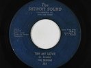 Northern Soul 45 - Sequins - Try My Love - The Detroit Sound - mp3 - rare