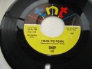 Rare Northern Soul Shep Fool to Fool/I'm Sitting In TNT records 1967