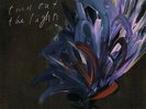 Julien Baker Turn Out The Lights Indies Clear Vinyl LP New 2017