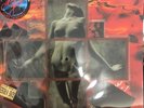 GUNS N' ROSES - Le Beau Geste - Live in Paris - LP VINYL PICTURE DISC