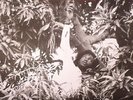 HUDSON, Keith - Flesh Of My Skin Blood Of My Blood - Vinyl (LP)