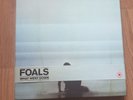 Foals - What Went Down Vinyl Boxset #180