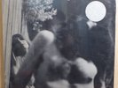 SEALED daughters of albion S/T lp FONTANA original SRF 67586 psych ACID FOLK