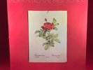 LAURA NYRO The First Songs 1973 UK VINYL LP EXCELLENT CONDITION original