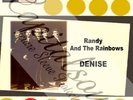 60S DOO WOP POP STATESIDE RANDY & THE RAINBOWS DENISE PICTURE SLEEVE