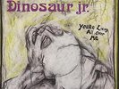 Dinosaur Jr You're Living All Over Me vinyl LP album record USA SST130 SST