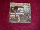Tony Sheridan And The Beat Brothers - You Are My Sunshine  -Swanee River