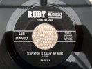Northern Soul-Lee David-Ruby
