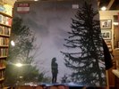 Amy Helm This Too Shall Light LP sealed  rose colored vinyl + download