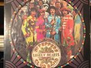 The Beatles Sgt. Peppers Lonely Hearts Club Band LP Picture Disc LT ED Free Ship