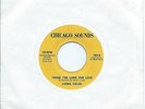 Living Color:Thank the Lord for love/Mystery ? Men-City Skies. N.  Soul Re-Issue