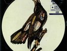 CLUTCH - Book Of Bad Decisions - Vinyl (limited gatefold picture disc 2xLP)
