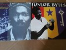 JUNIOR BYLES - BEAT DOWN BABYLON + WHEN WILL BETTER COME (2 x TROJAN LP)upsetter