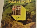 VINYL LP by THEM IN REALITY (PSYCH ORIGINAL) HT 1012 (1971)/ HAPPY TIGER RECORDS
