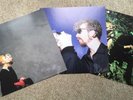 Eurythmics Limited Edition Prints X3: In The Garden, Touch, Be Yourself Tonight